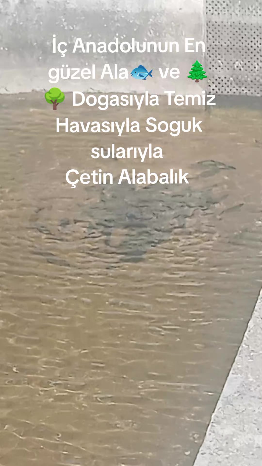 @⭐ALparslan_Cetin⭐