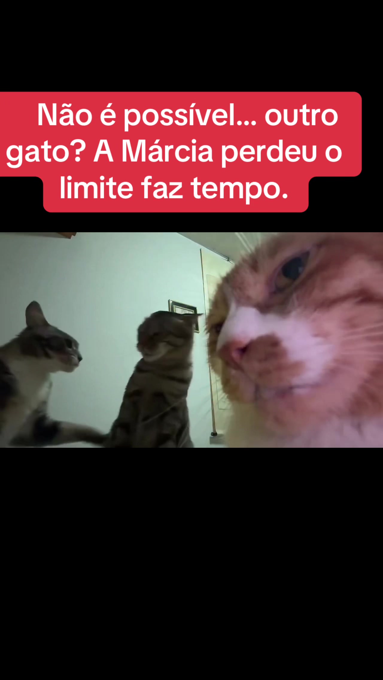 @Lusitonio Machado Do