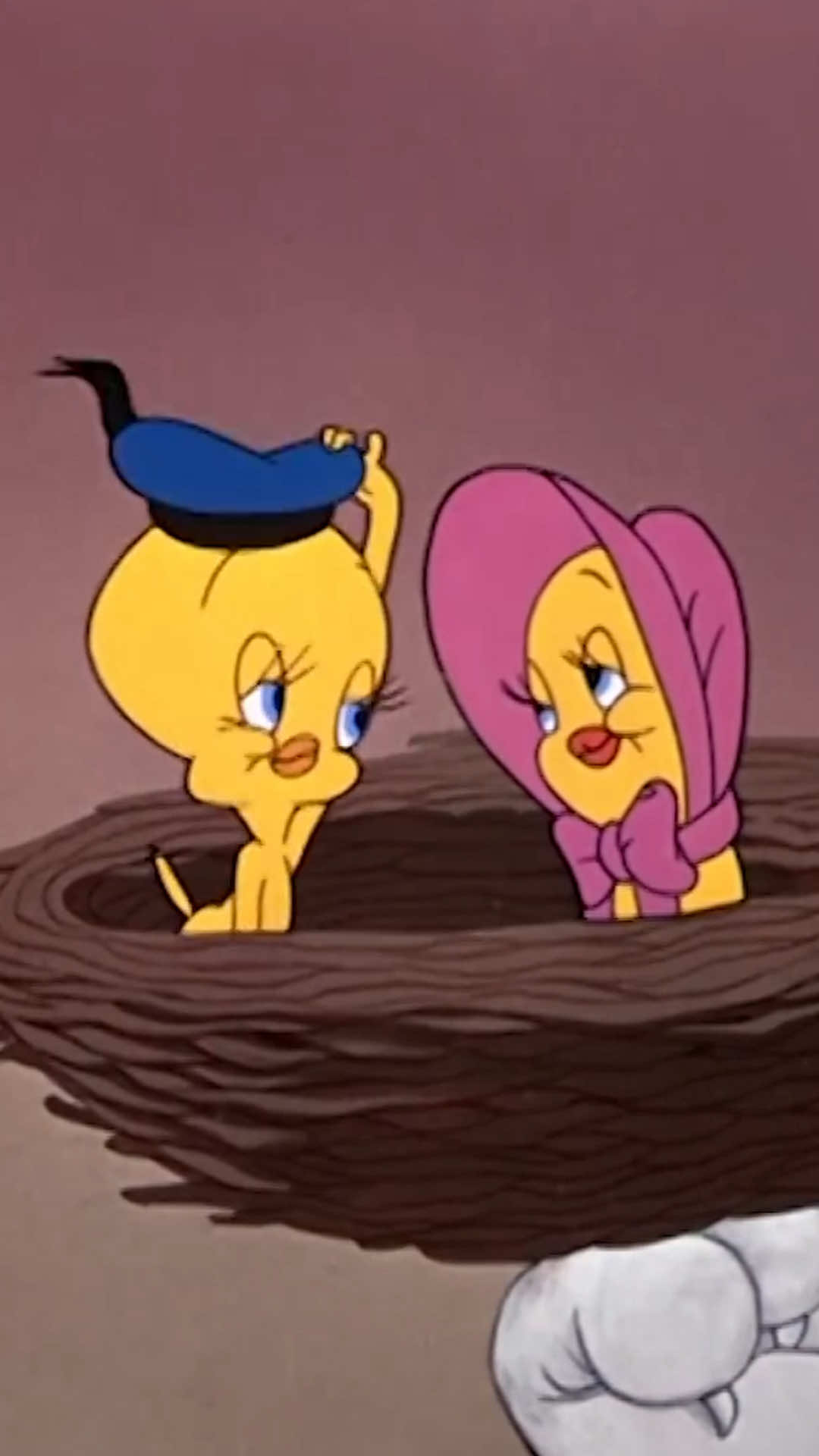 @Looney Tunes