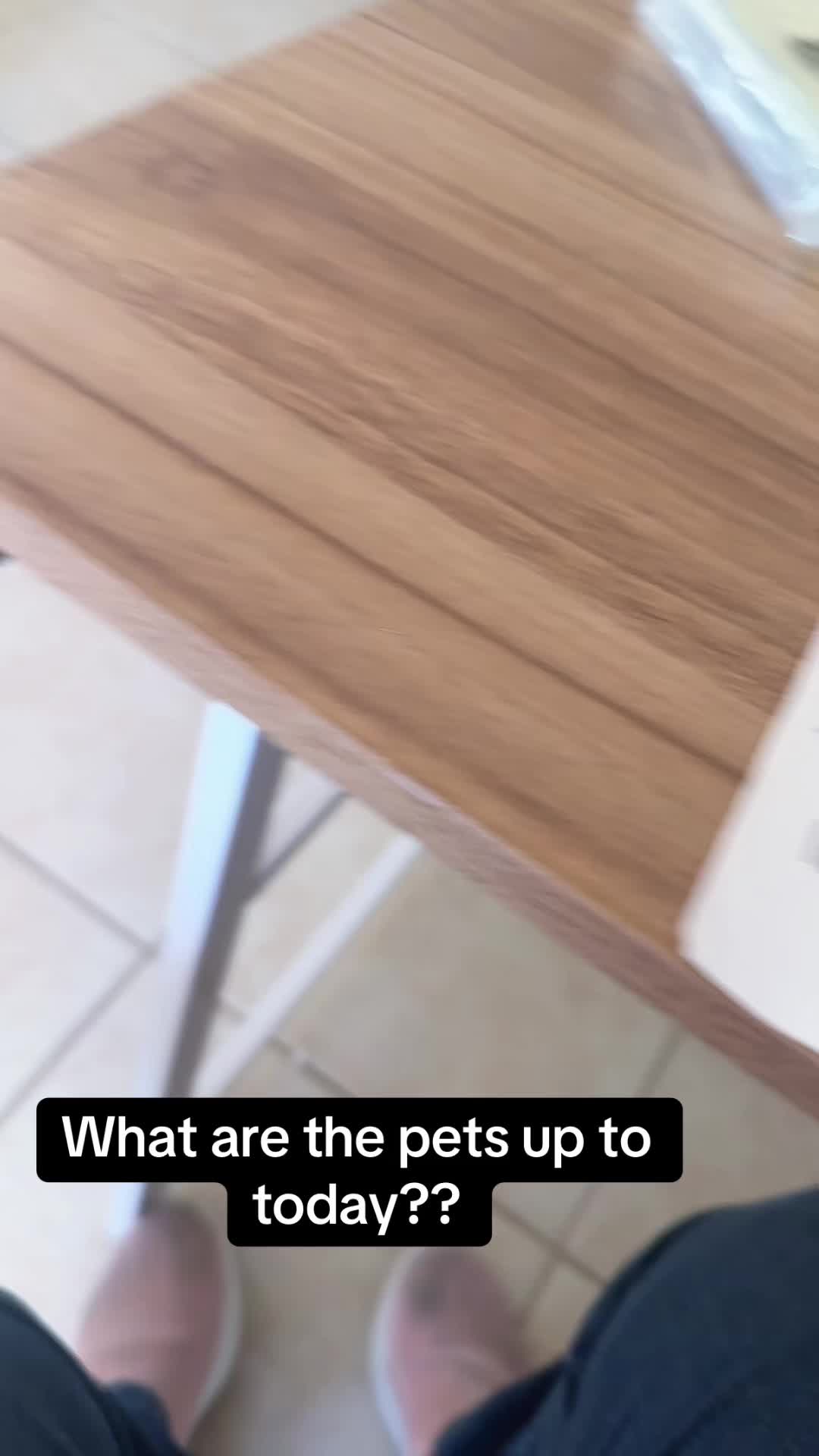 @floridadarcye9