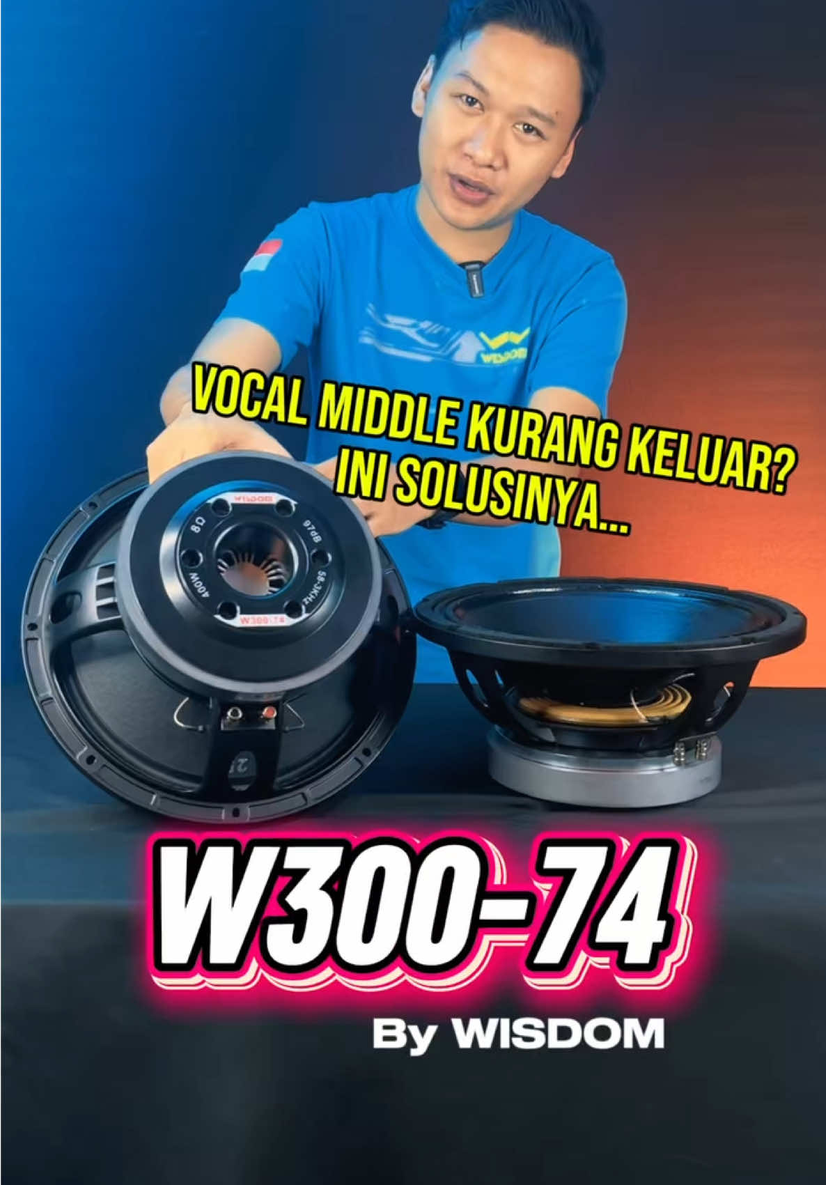 @Wisdom Pro Audio