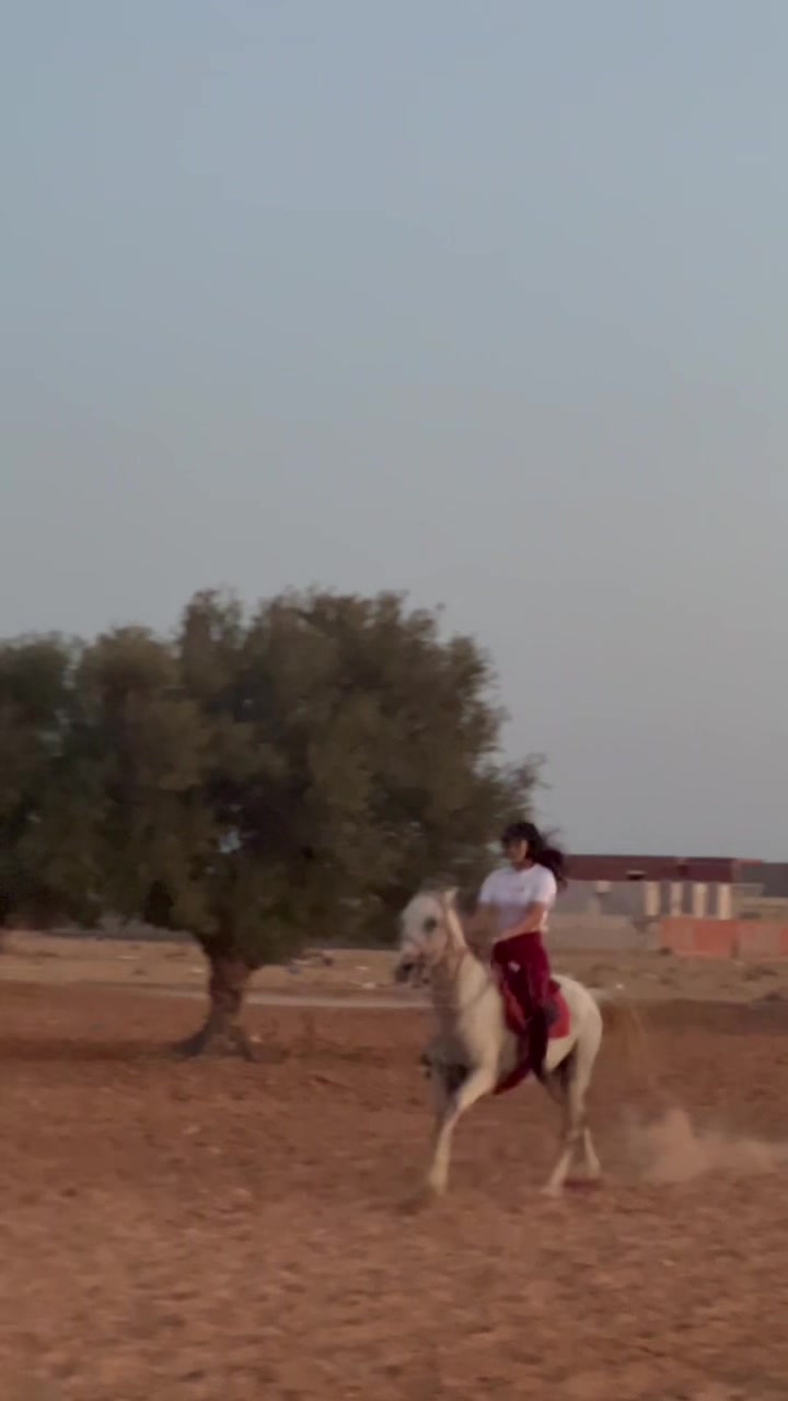 @Feres Ben Amor 🏇