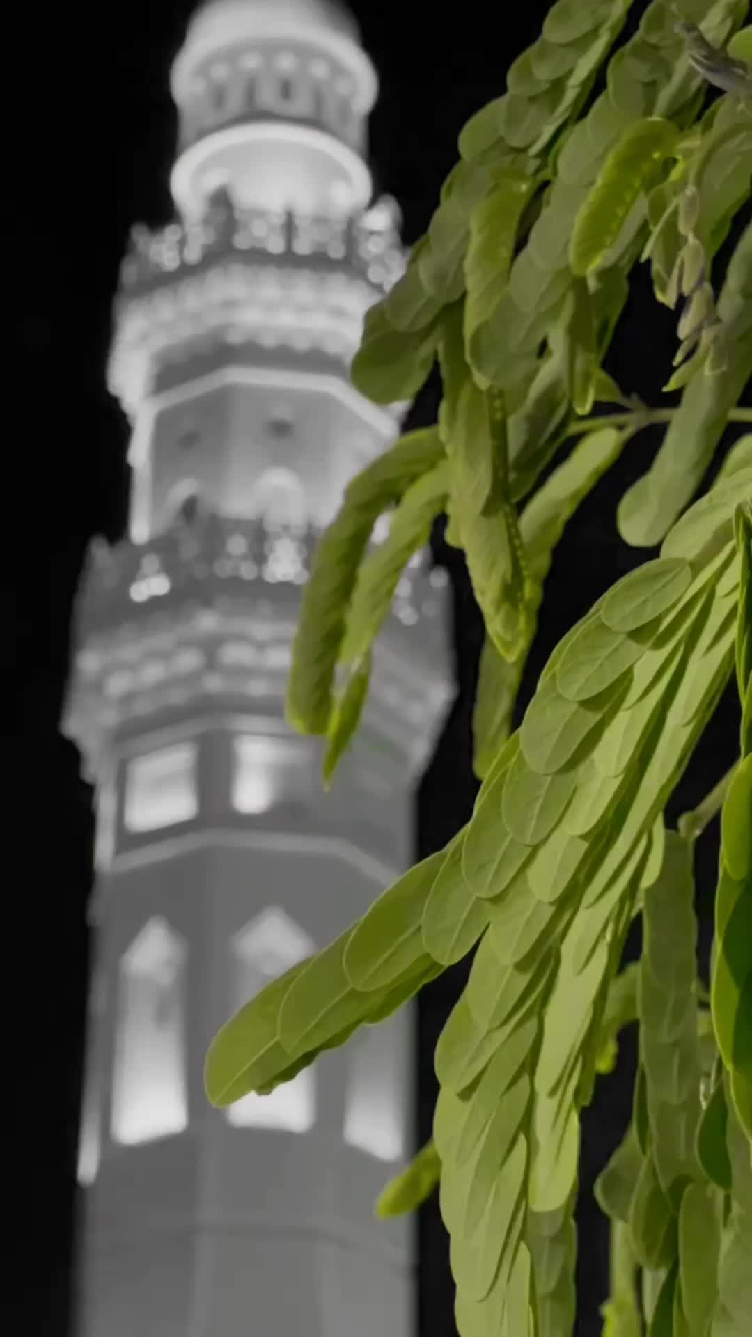 @Abuzar Fiaz (Naat)