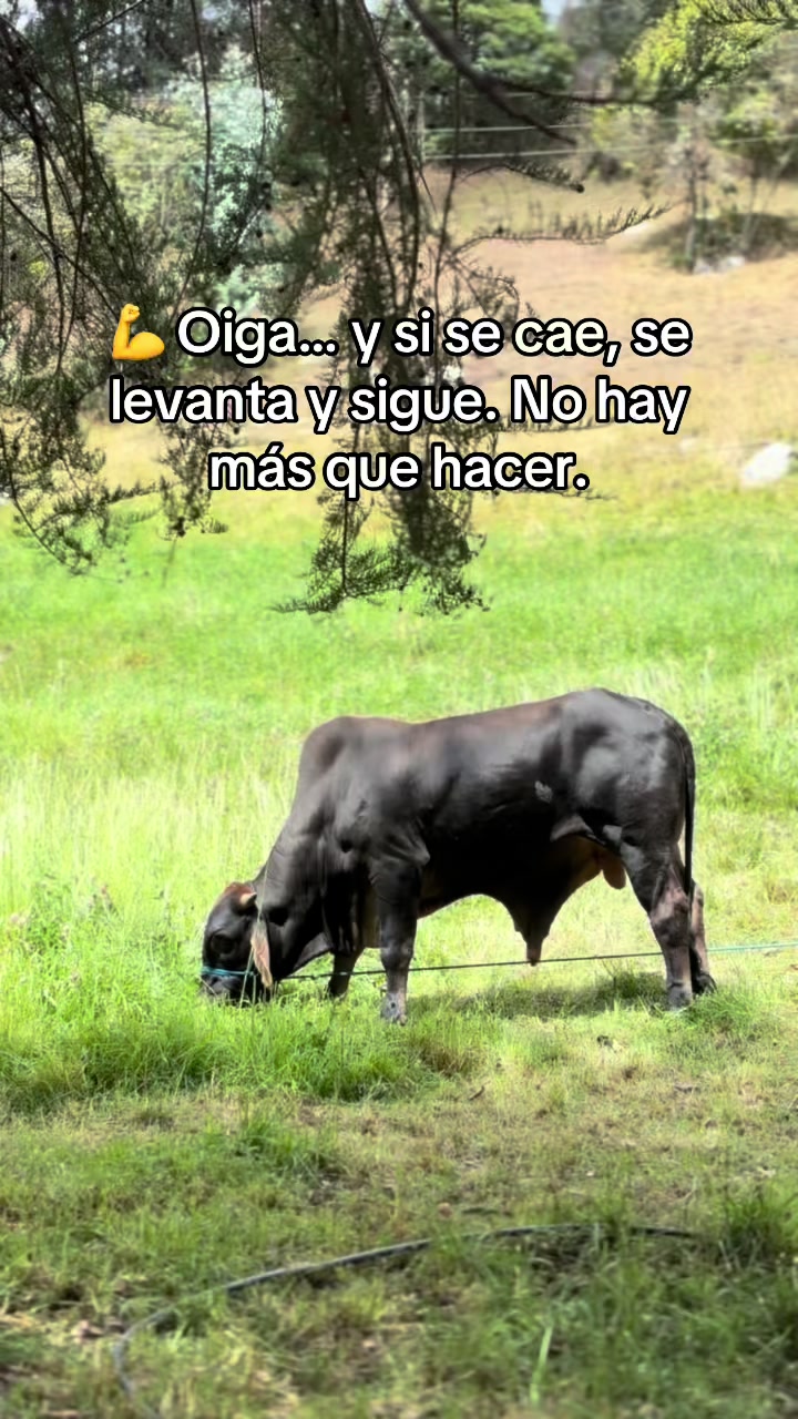 @MiGanado-Boyacá