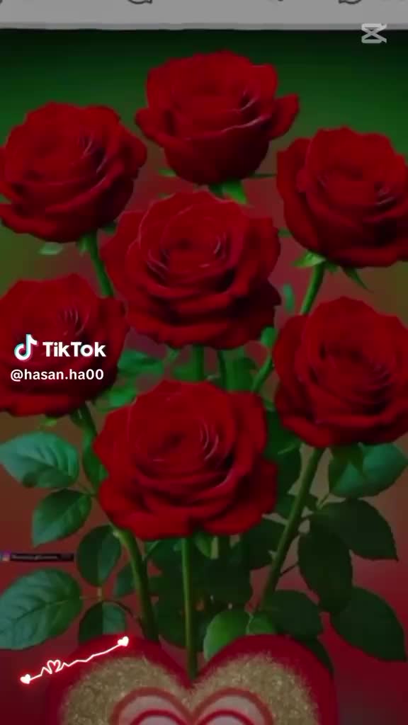 @পরিবারের রাজকন্যা ❤️❤️