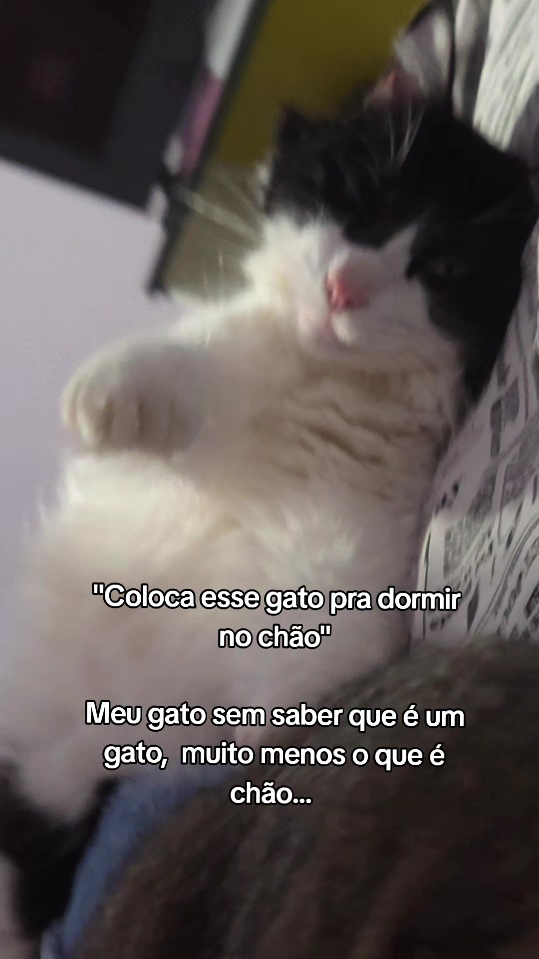 @Maria Paula