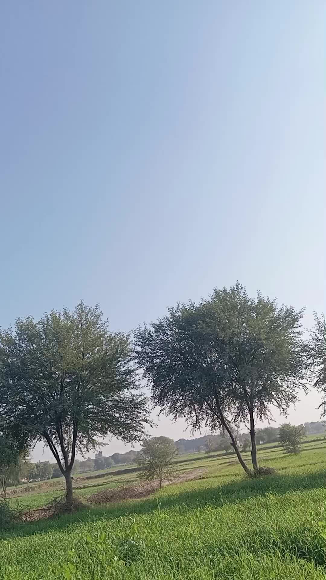 @GM bhai