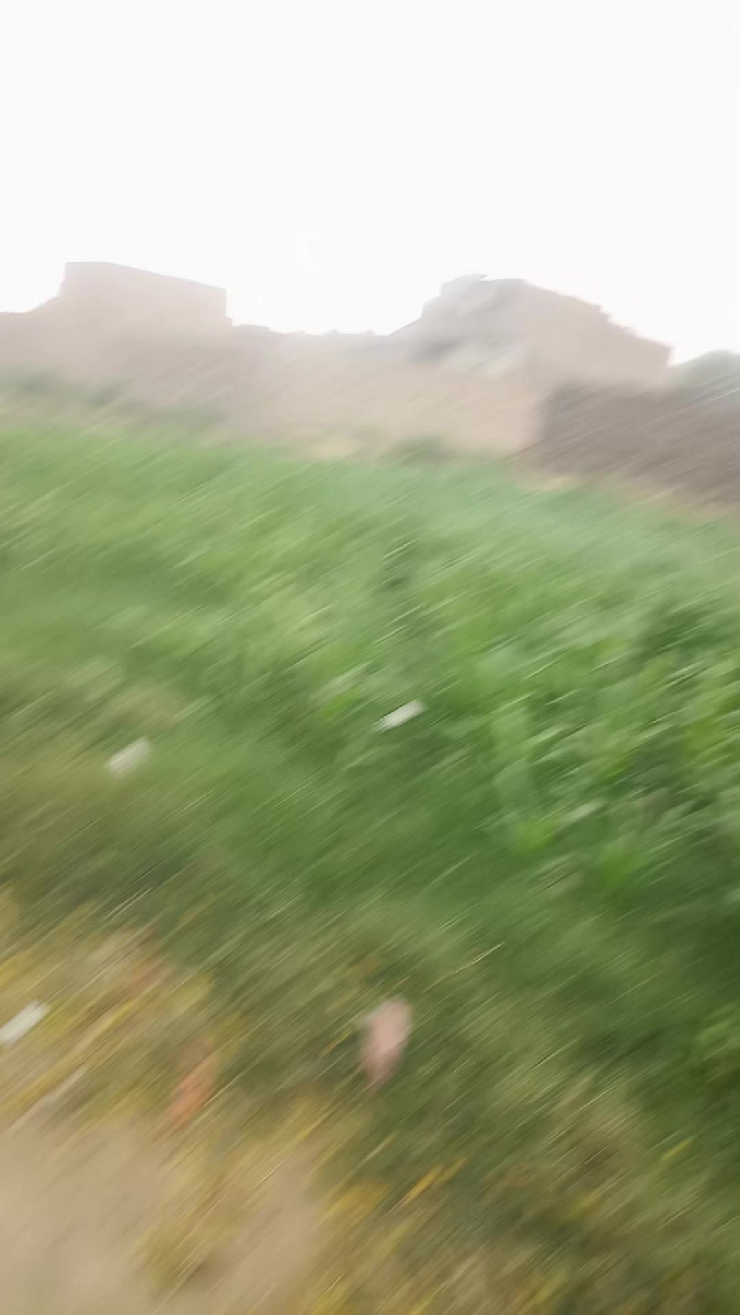 @🇵🇰 میاں صاحب 🇵🇰 🚭 𝑵𝒐 🚭