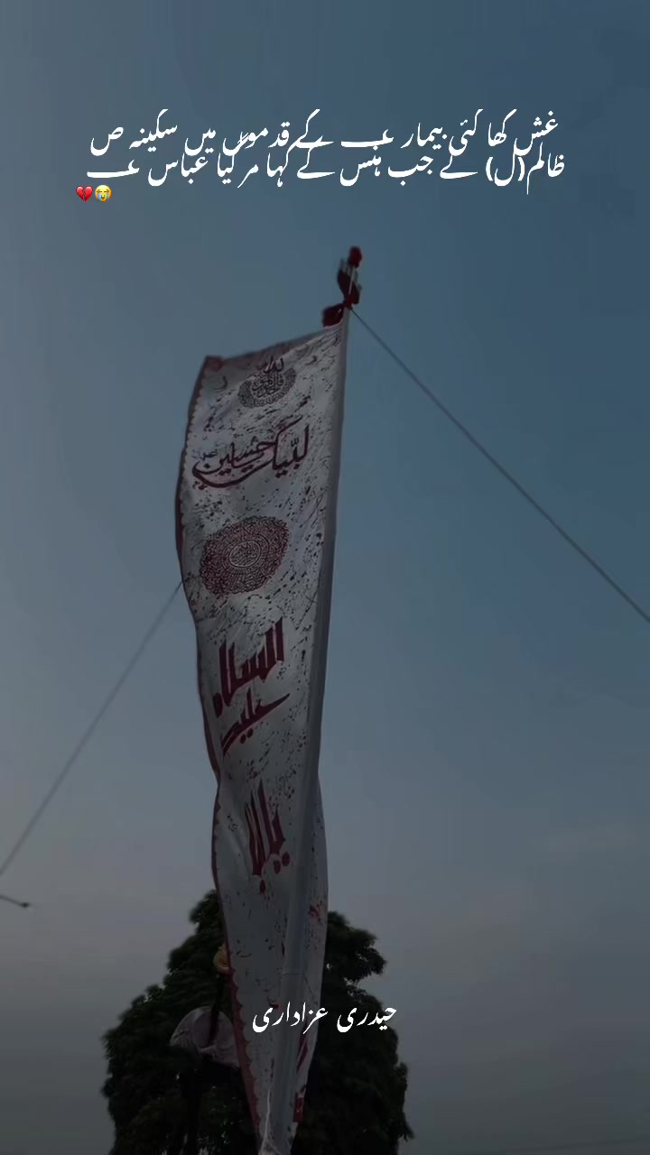 @کنزہ حیدری🖤