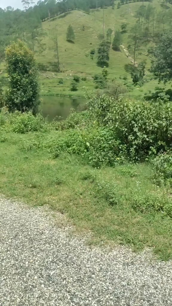 @Padama Kadal Madai
