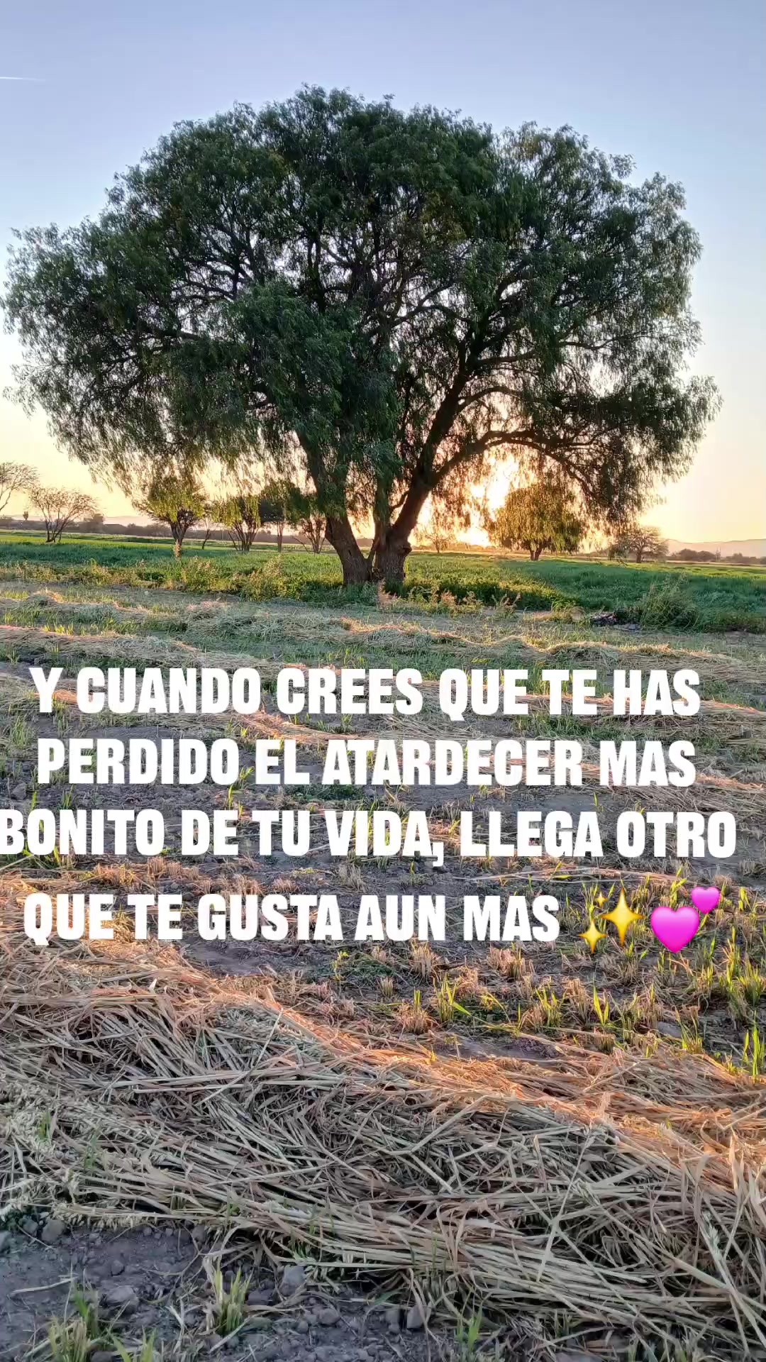 @Leyber 👻