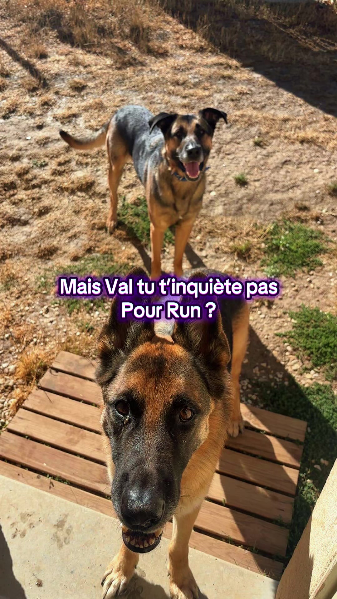 @Valérierun 🇮🇹 🇫🇷🫵