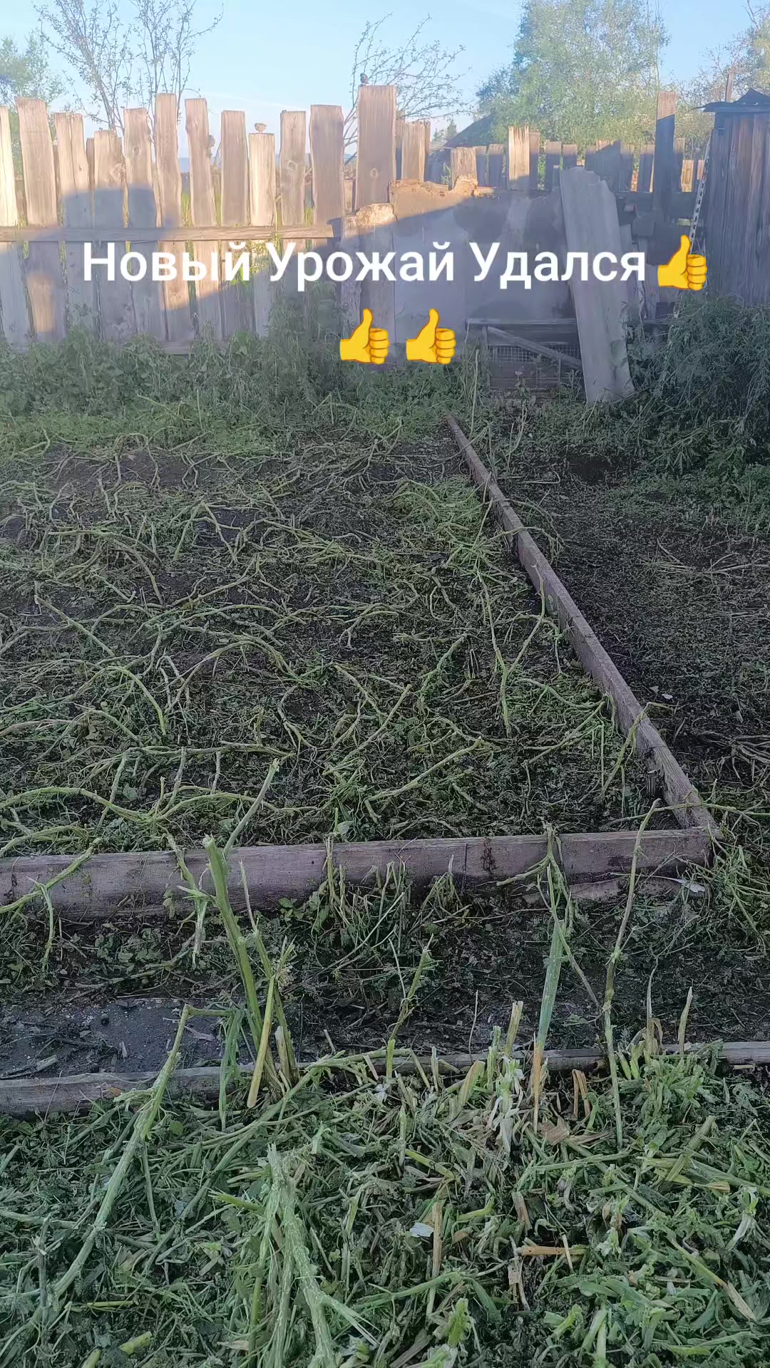@Роман
