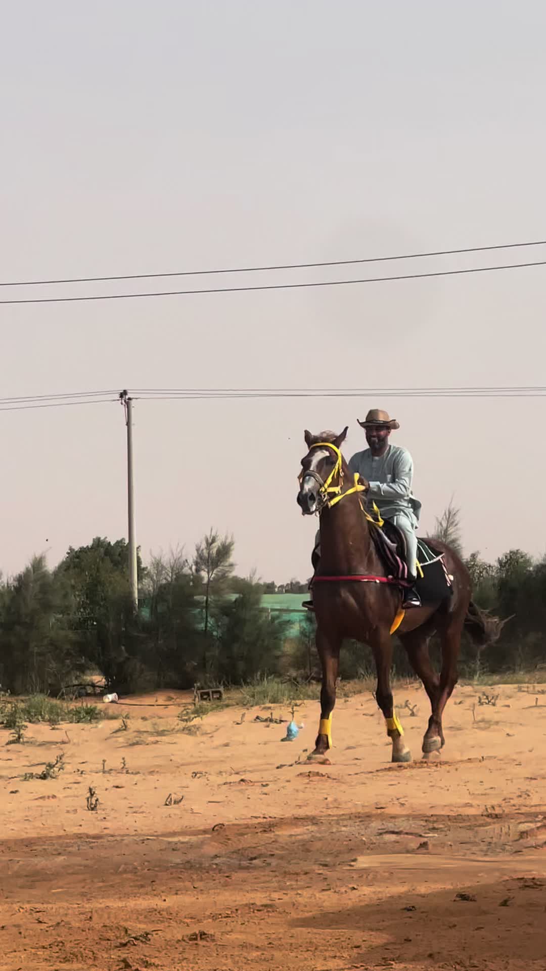 @حبيب اجويبر