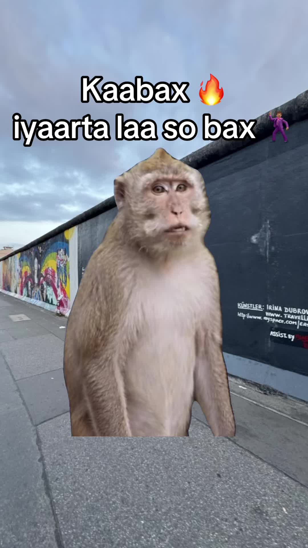 @๐๐ฌ๐๐๐ธ๐พ๐ซ๐ต๐ฎ๐๐ฎ๐ช๐ฌ๐ฎโ๏ธ