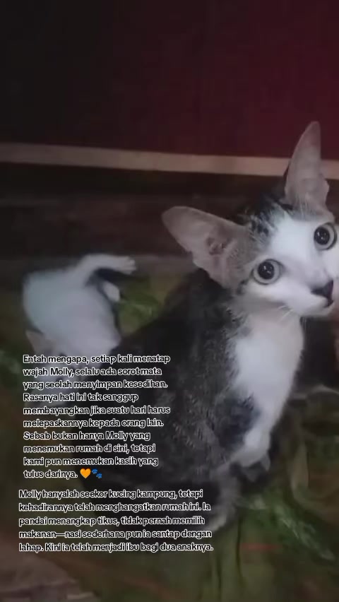 @Lina herlina