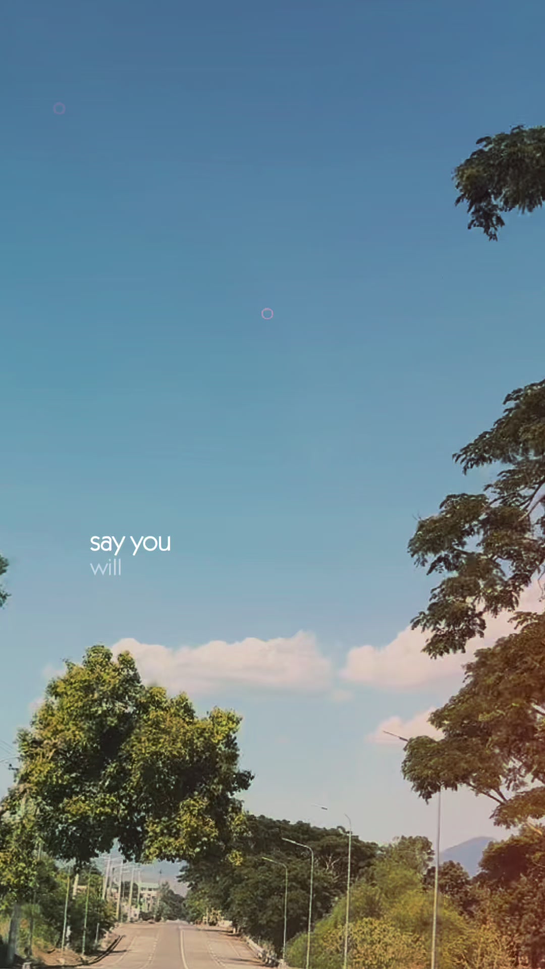 @💛🦫 HEARTofGOLD🦫💛