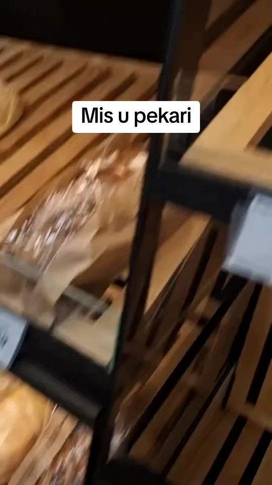 @BABAJAGA