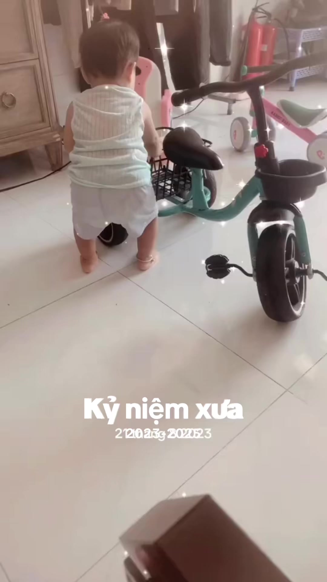 @Nấm 🍄🇻🇳