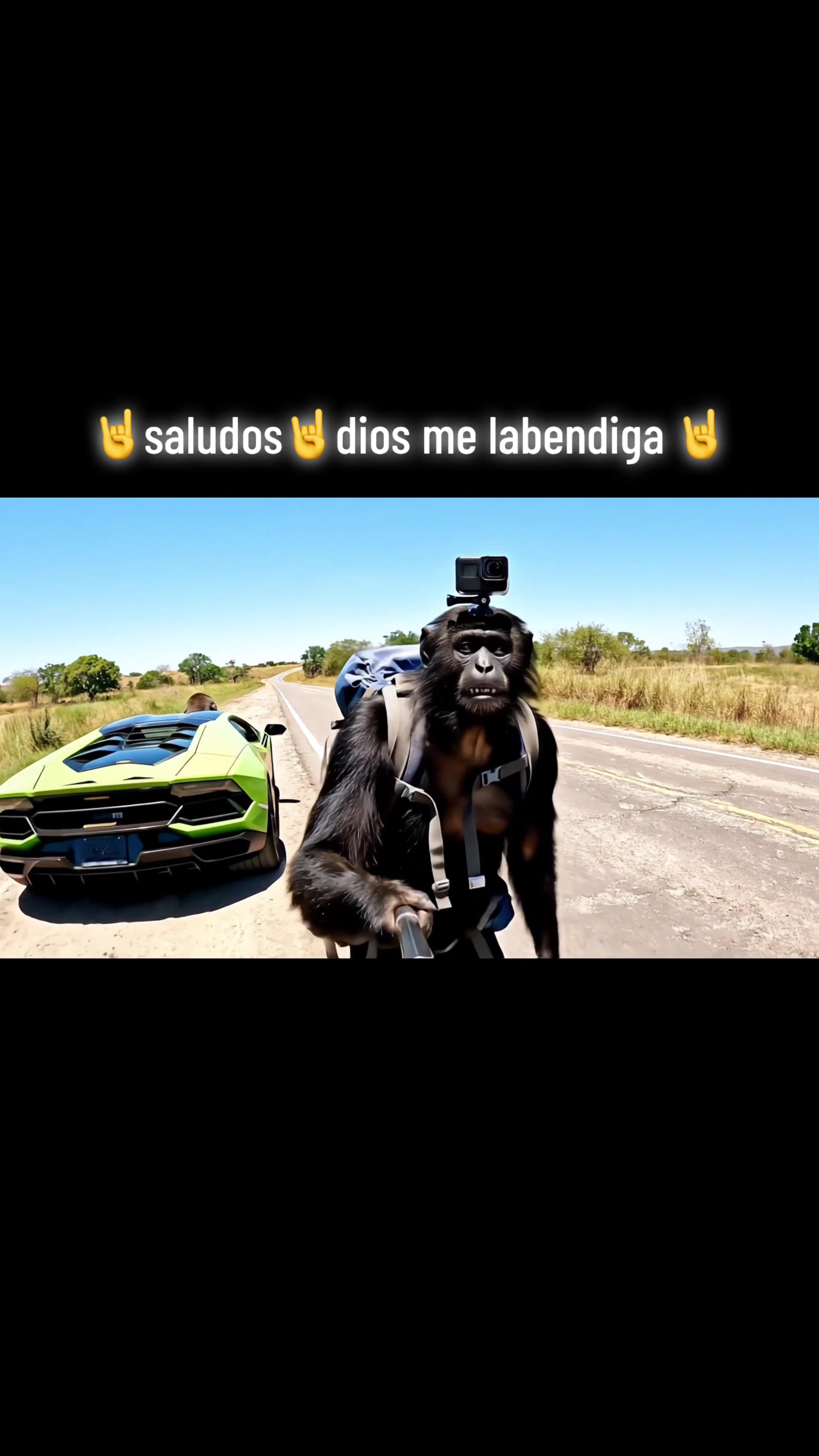 @🤘el_cholo_habibi_503🤘