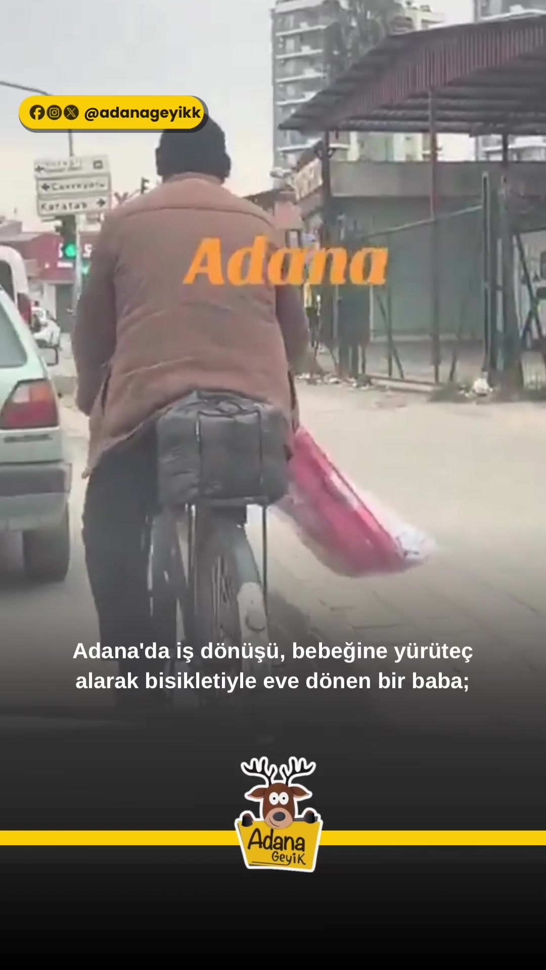 @Muğla Geyik