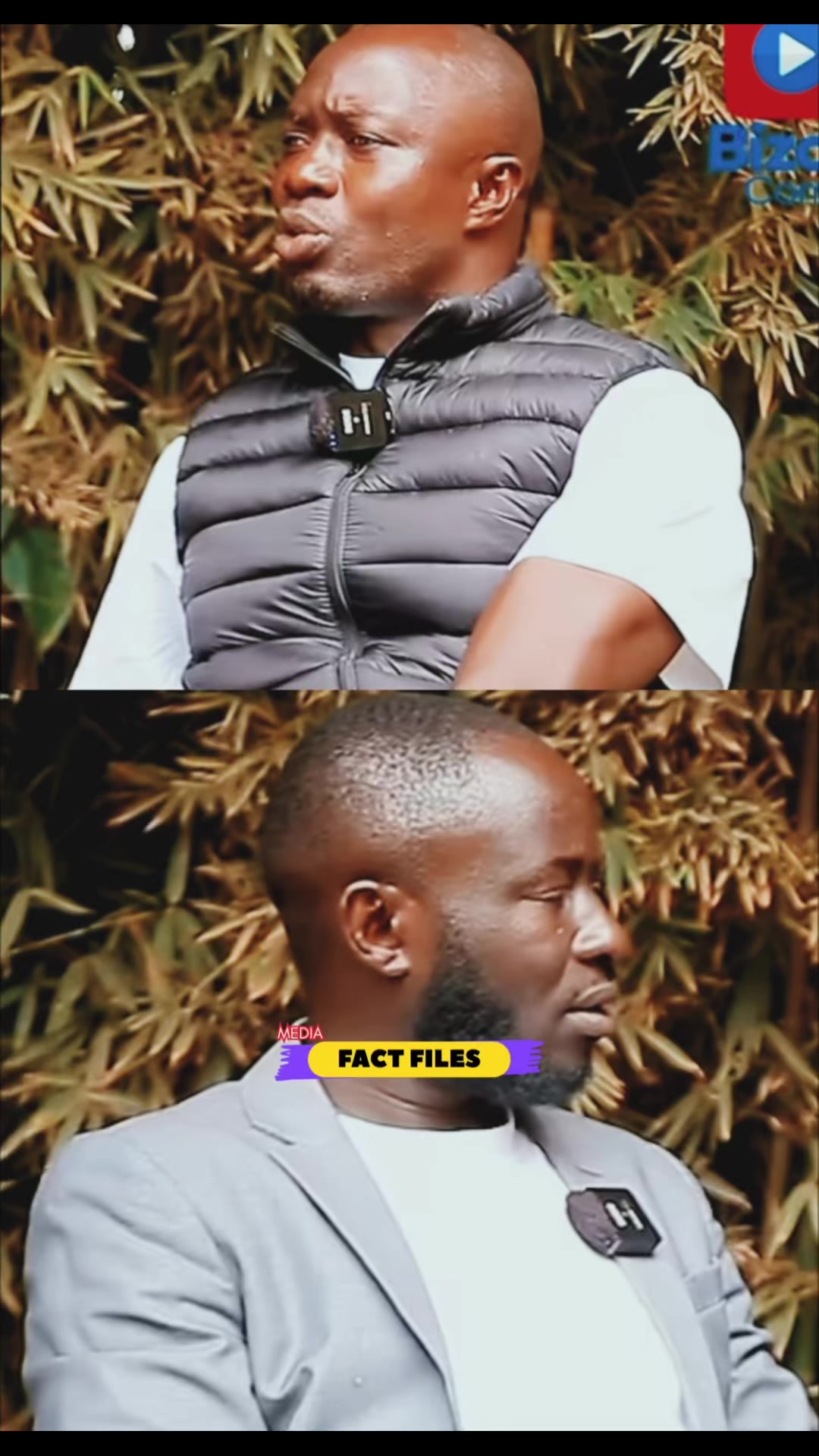 @FactFilesMedia