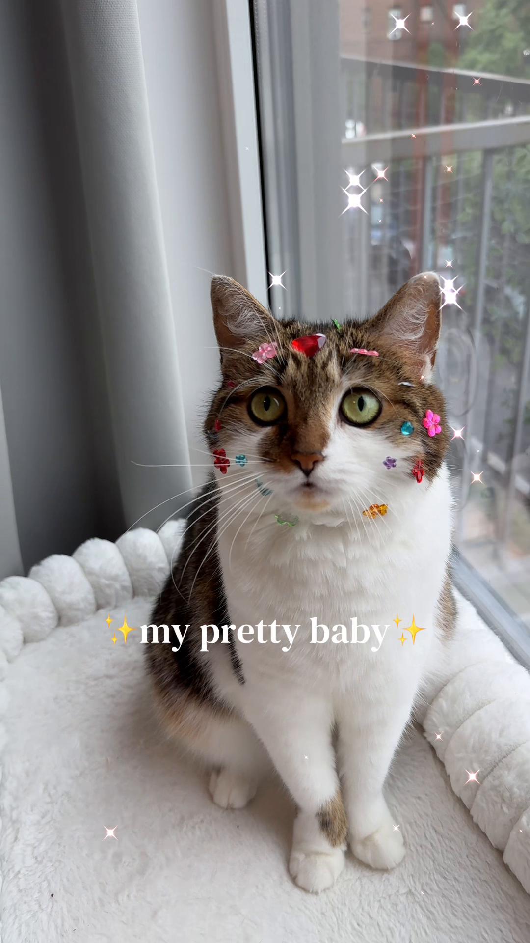 @Suki Purrs
