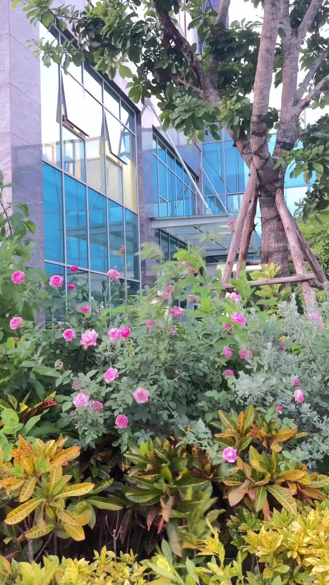 @Nguyen Hai