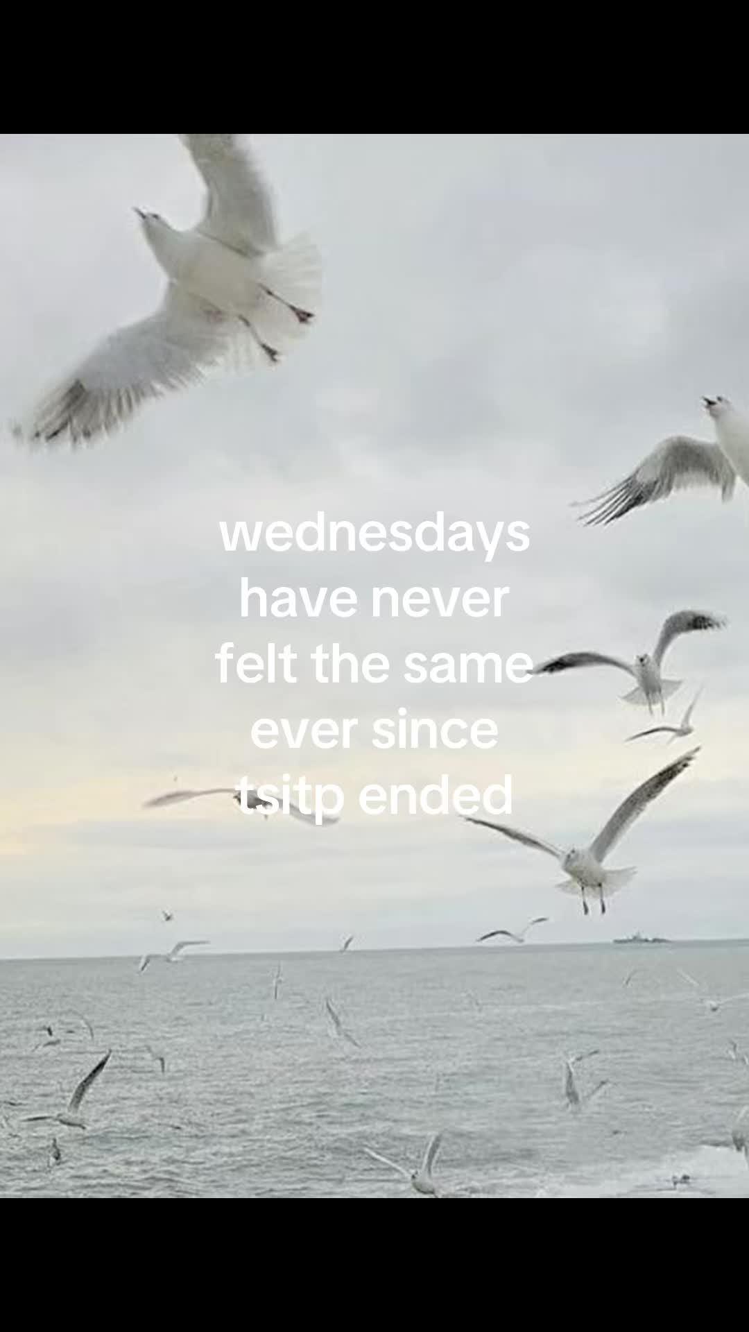 @cara 🎧ྀི