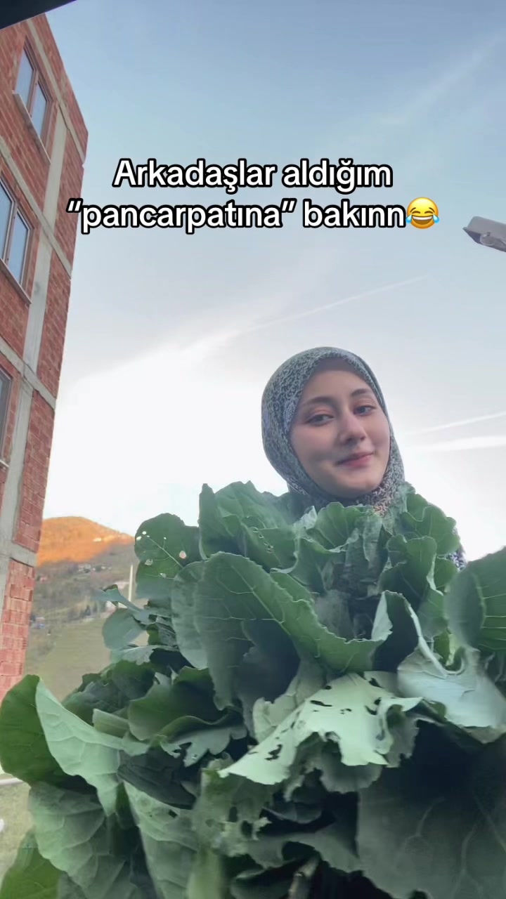@𝓗𝓪𝓽𝓲𝓬𝓮 𝓤𝔃𝓾𝓷