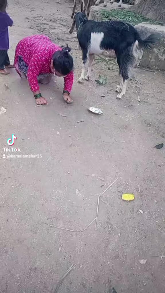 @kamalamahar25