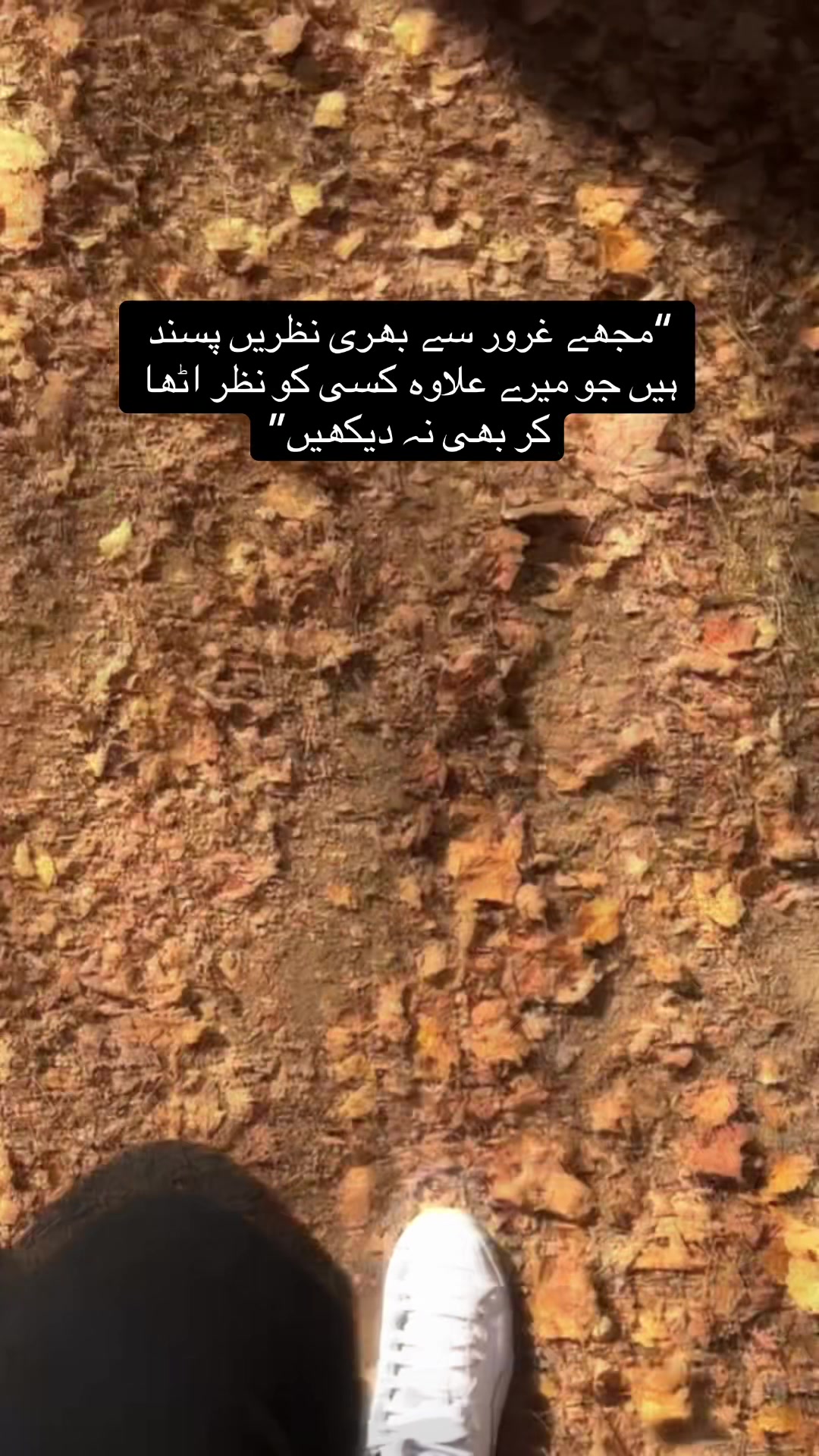 @Bixkit100