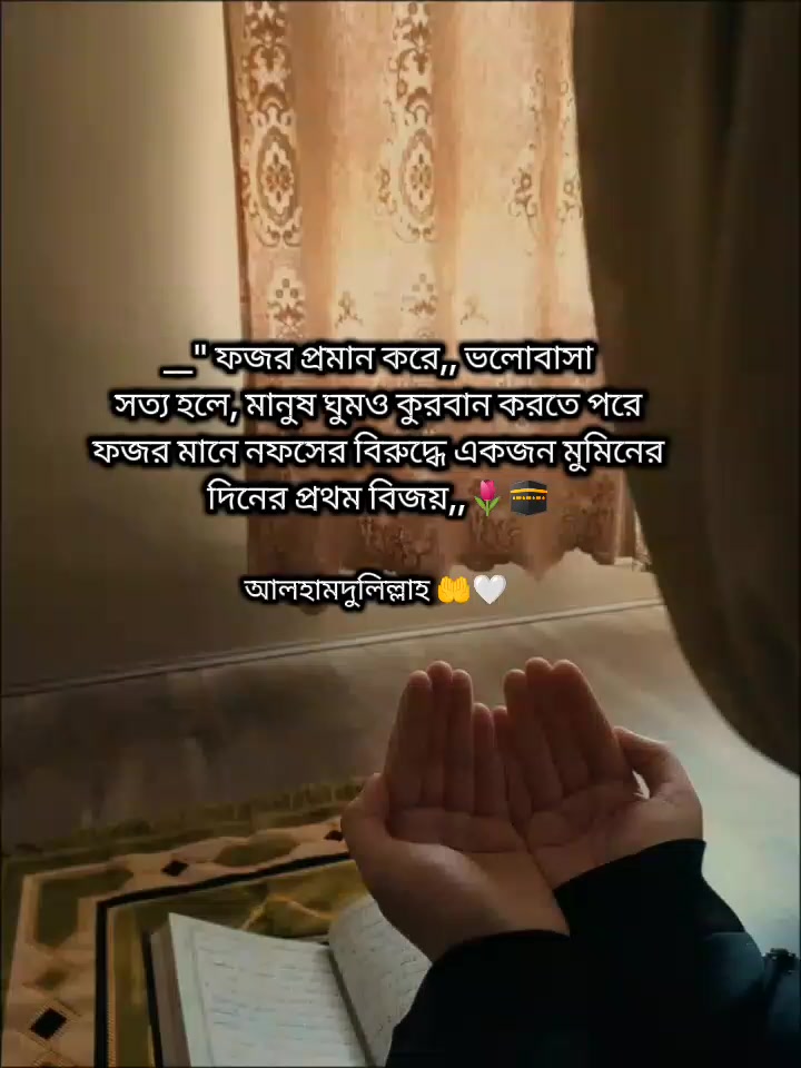 @🌸💕Ќʰ𝖆𝗱𝖎𝐣&alpha;-💕🌸