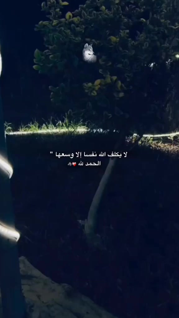 @Boxeur 🇹🇳🇩🇿✅✌️