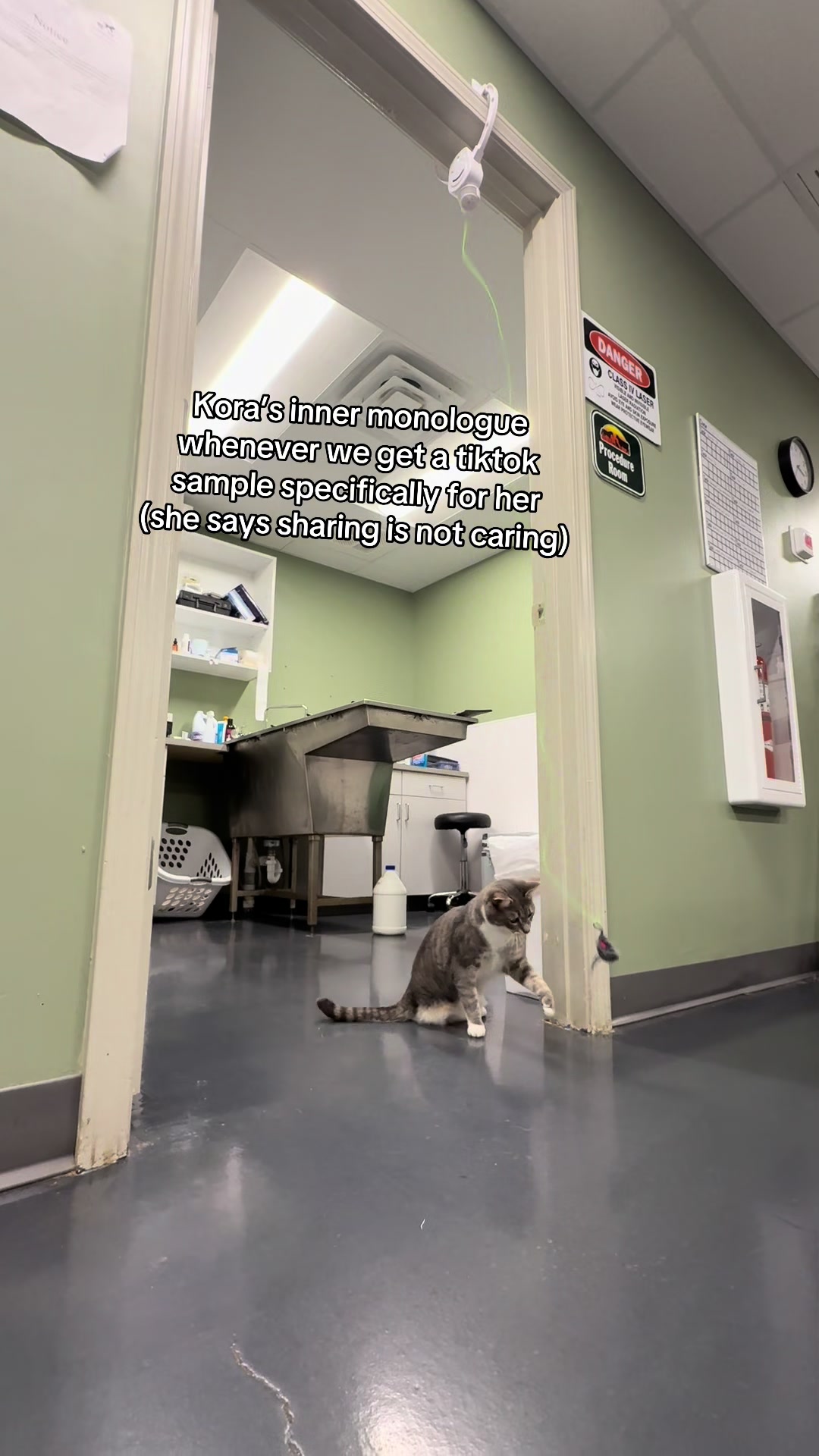 @Triangle Vet