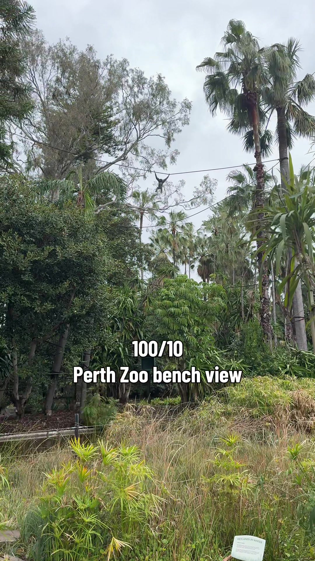@Perth Zoo