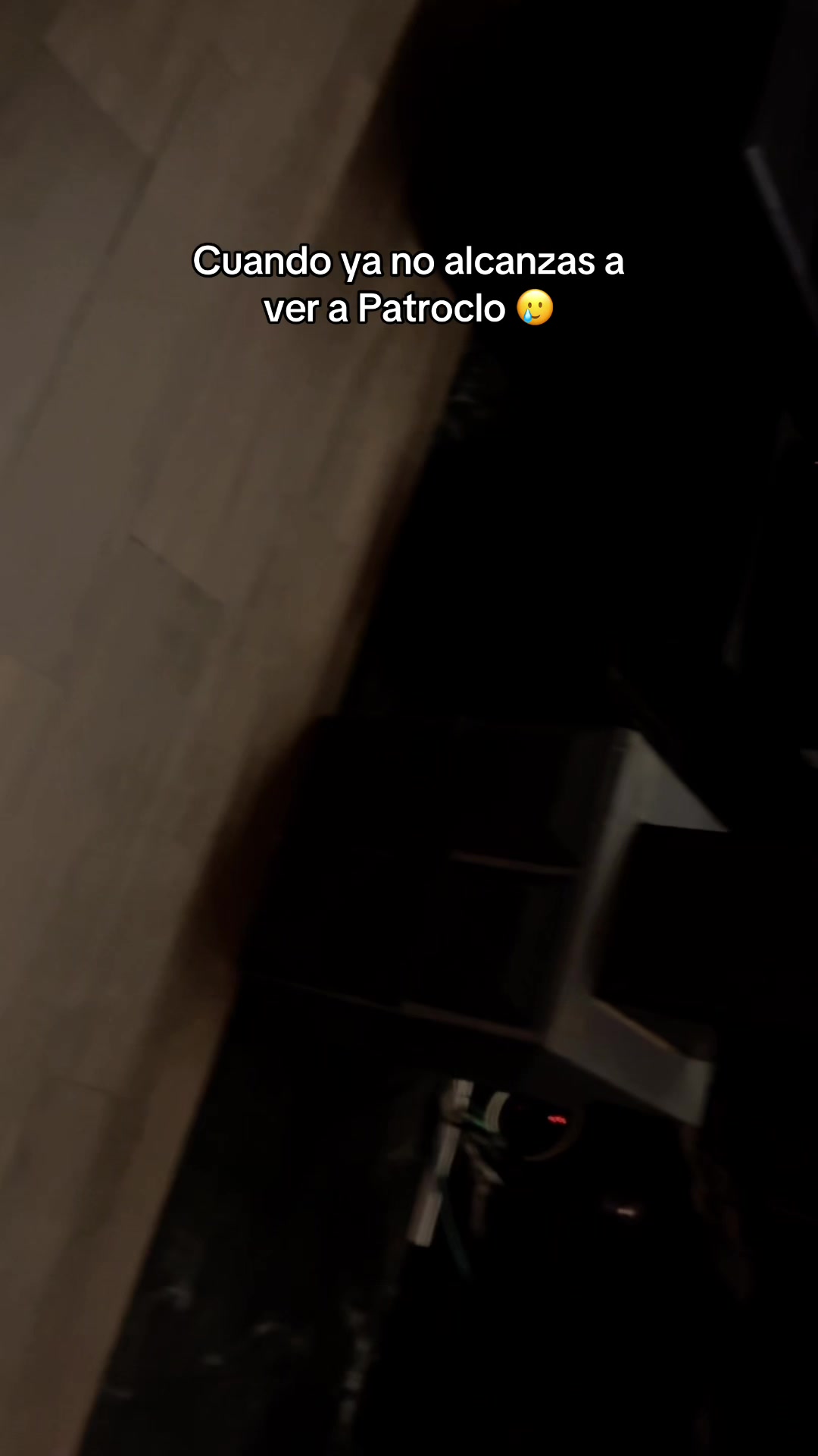 @cisnneros_fx