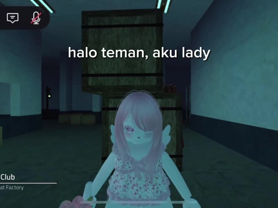 @Lady