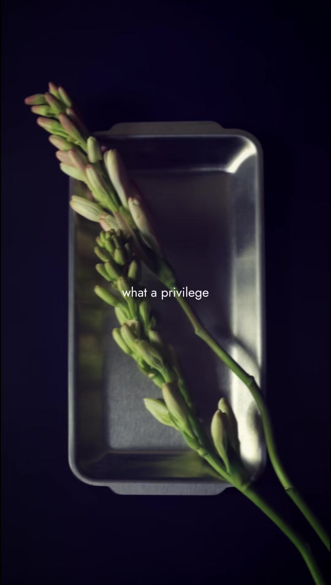 @eau de sarah