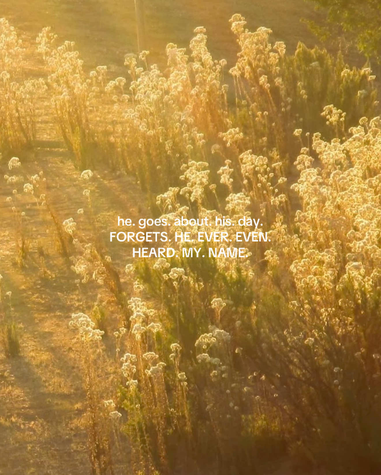 @ℰ𝓂𝒾𝓁𝓎 ❀