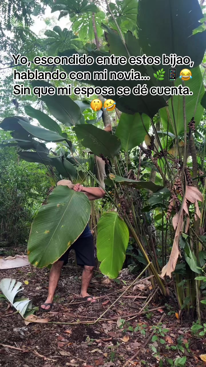 @Kevin Saldaña