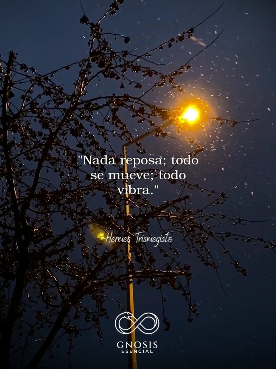 @Conocimiento Escencial