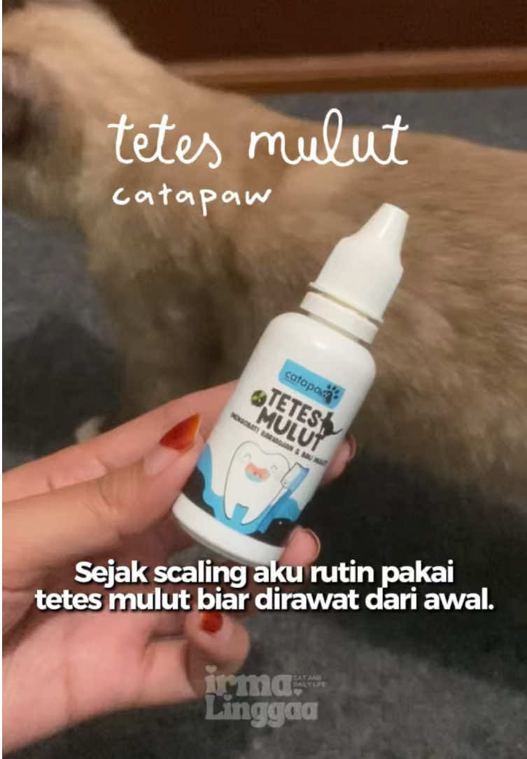 @kucingnyalingga🍉