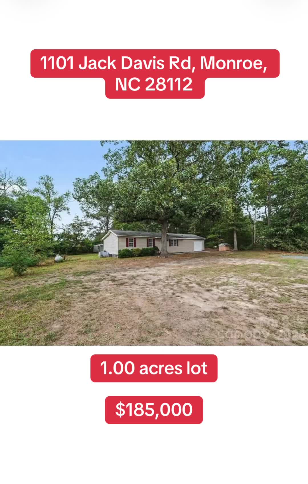 @🥇 Haydee Trejo | NC Realtor