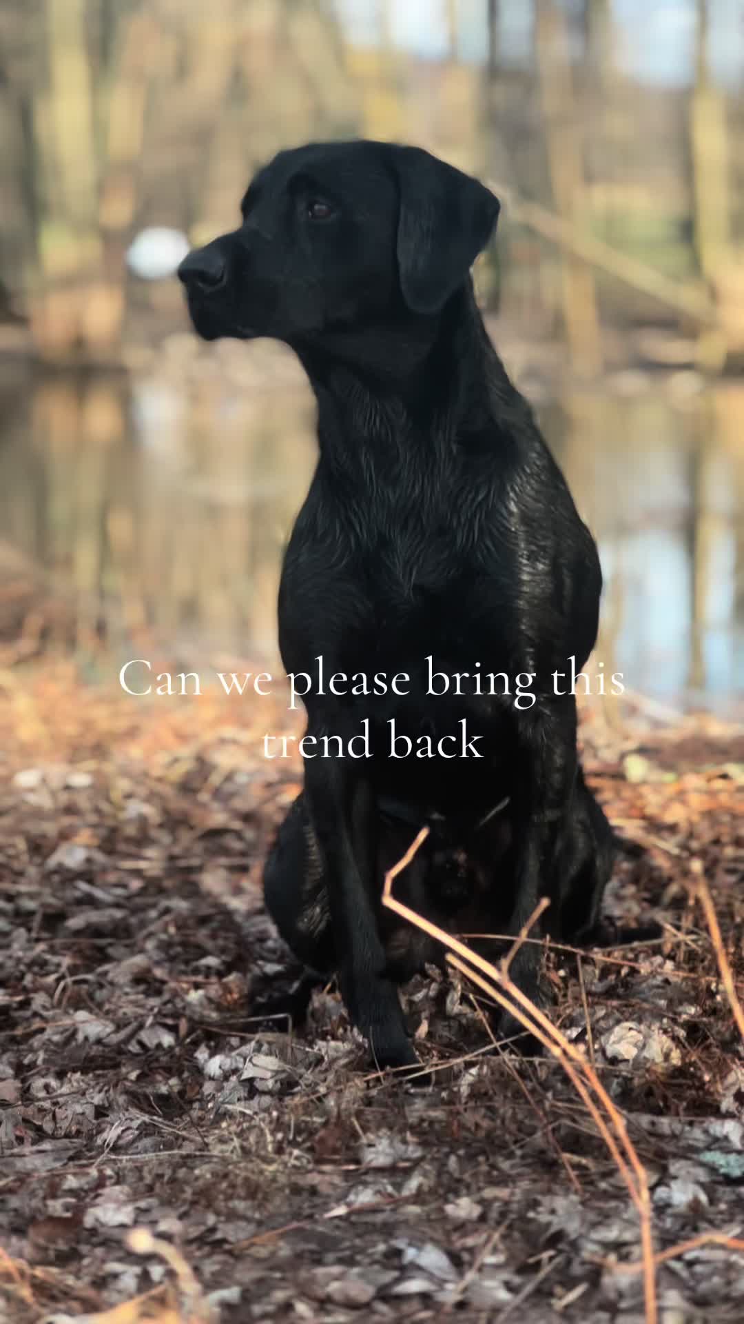 @akgwtrfwl🦆
