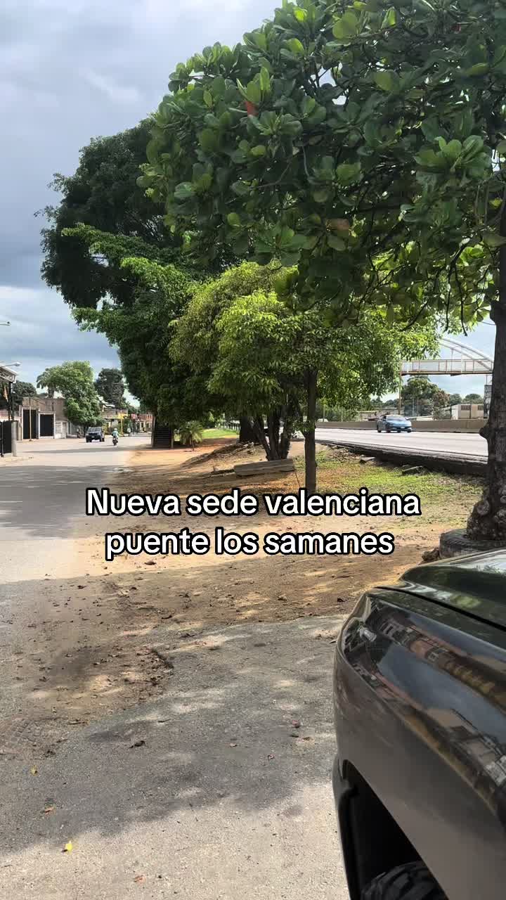 @vanessa plantas