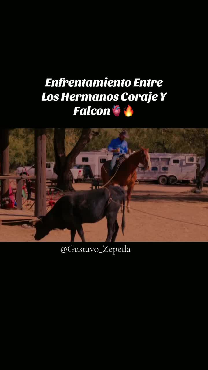 @Gustavo Zepeda🖤🤍