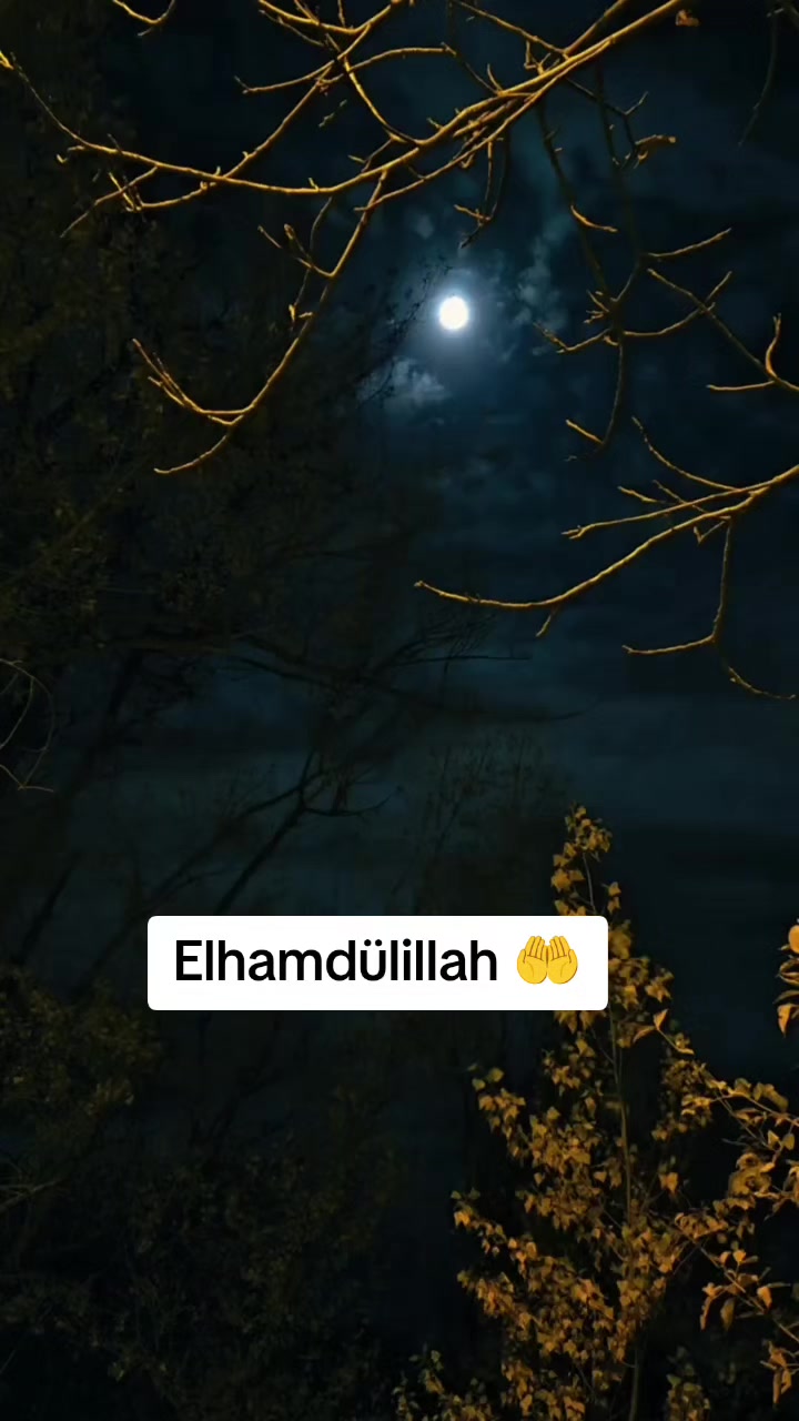 @M&uuml;kafat G&uuml;den ( SiVaSLı)