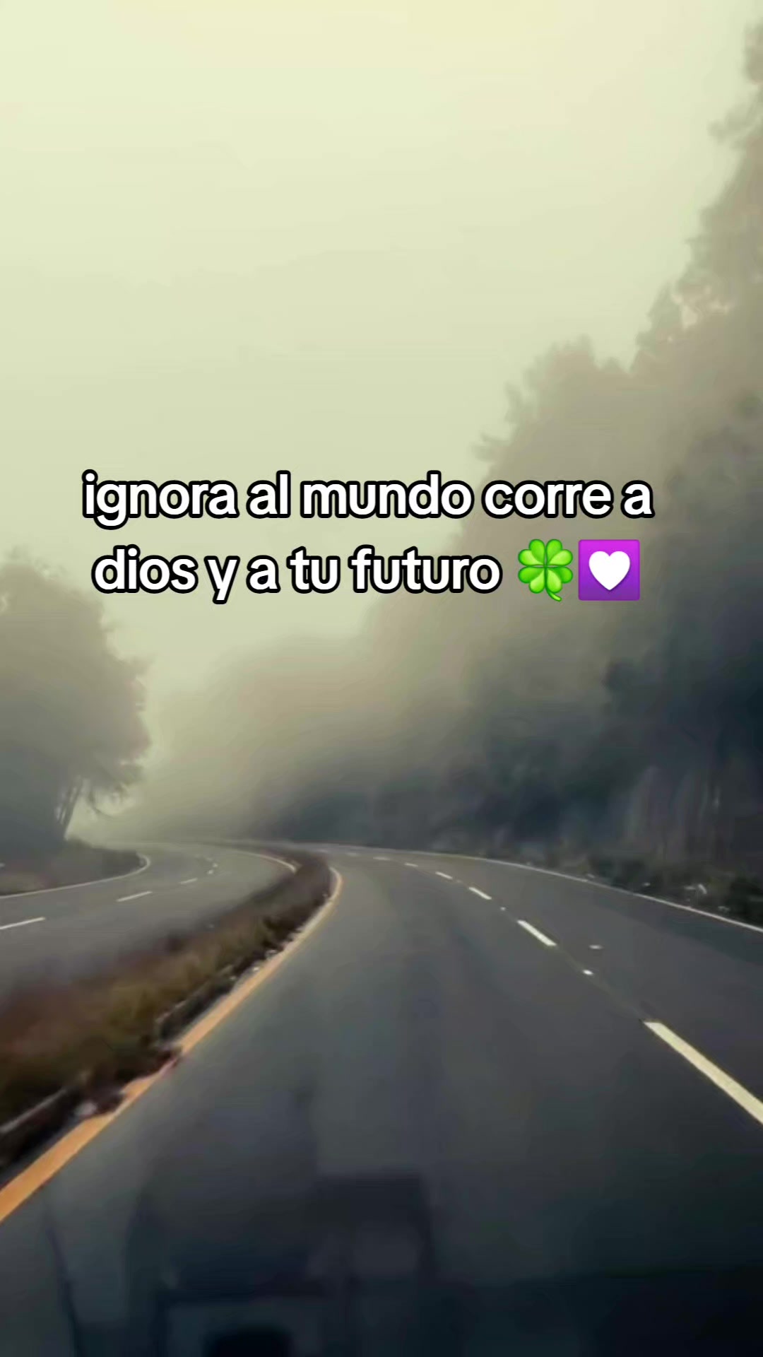 @A.A.CH.A.🧠🫀