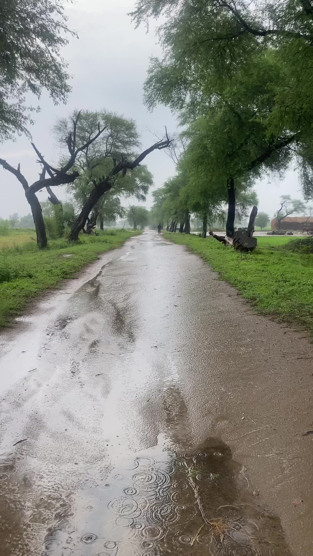@ساڈاپنجاب🌾